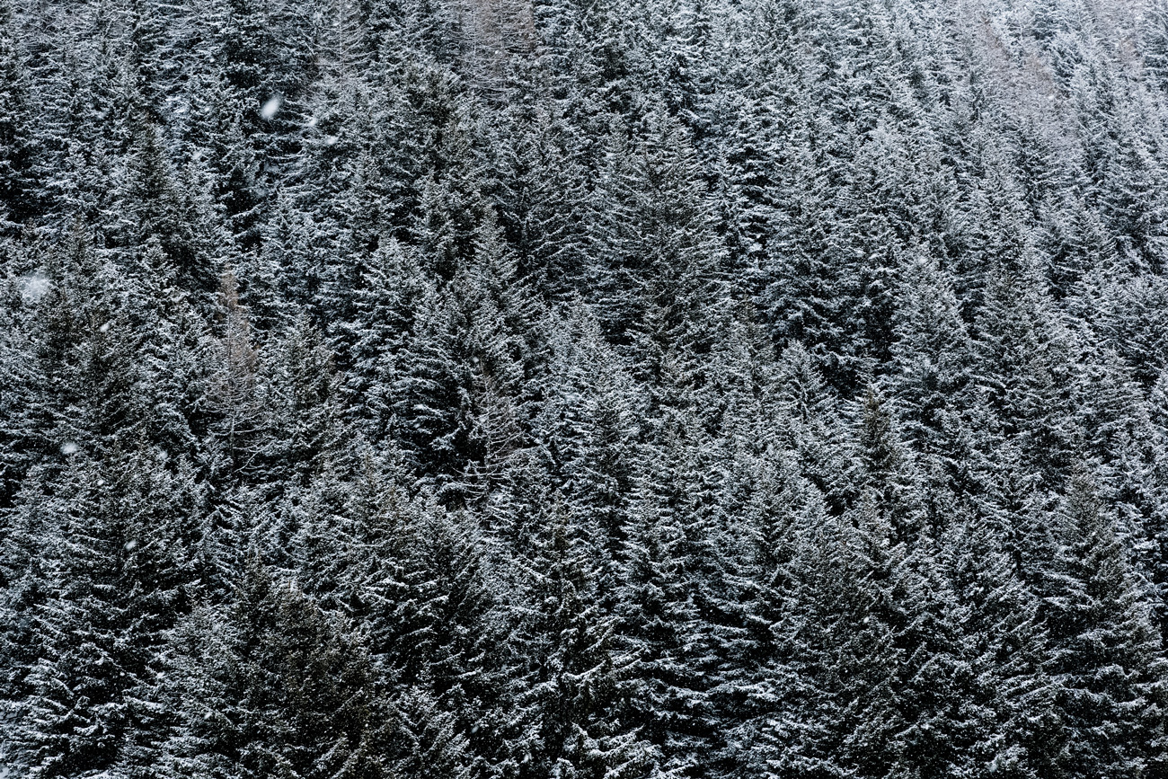ALEX BERAN FOTOGRAFIE 17 FEET OF PURE WHITE SNOW